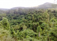 /album/trilhas-jequitibar-caminnhada-alferes-tiradentes-dia-07-06-2011/a070620111145-jpg/