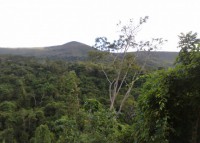 /album/trilhas-jequitibar-caminnhada-alferes-tiradentes-dia-07-06-2011/a070620111146-jpg/