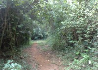 /album/trilhas-jequitibar-caminnhada-alferes-tiradentes-dia-07-06-2011/a070620111148-jpg/