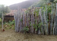 /album/trilhas-jequitibar-caminnhada-alferes-tiradentes-dia-07-06-2011/a070620111151-jpg/
