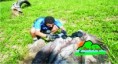 /album/trilha-do-jequitiba/jequitibar13-jpg1/